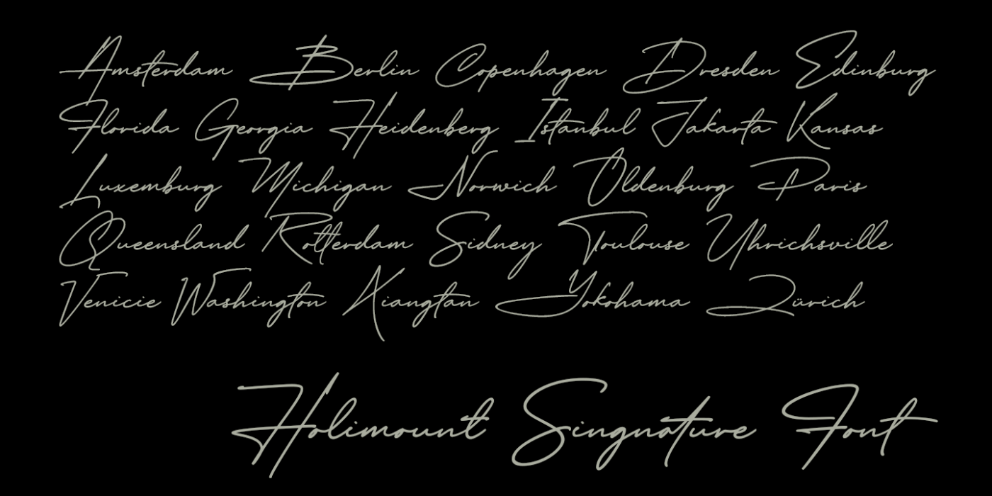 Holimount Swash character specimen 2
