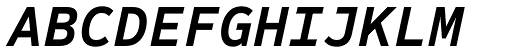 Sometype Mono Bold Italic